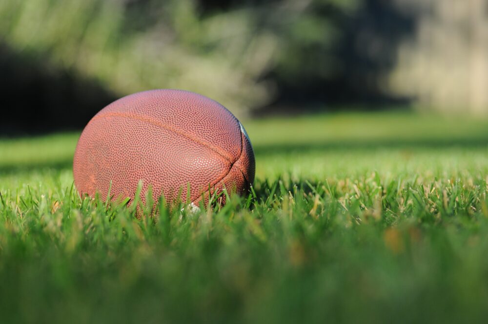 Rugby ball on the green ground.