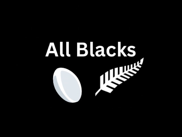 All blacks team colour Black and silver fern